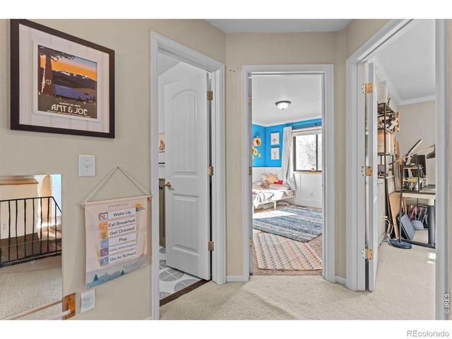 324 Spring Snow Drive, Loveland, CO 80538