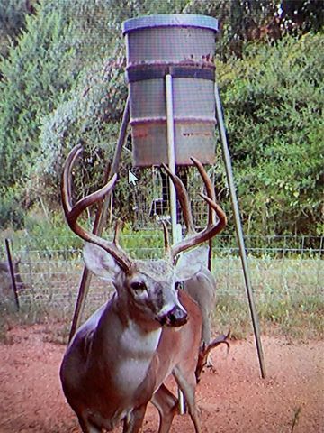 535 Pr 3420, Jewett, TX 75846