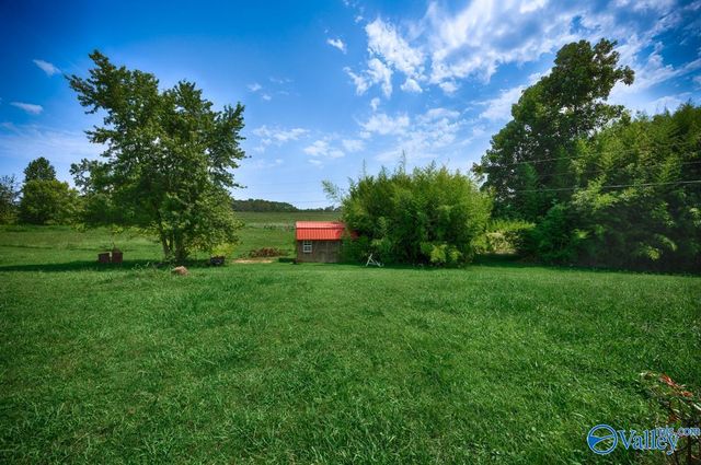 22724 Cairo Hollow Road, Athens, AL 35614