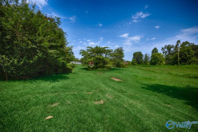 22724 Cairo Hollow Road, Athens, AL 35614