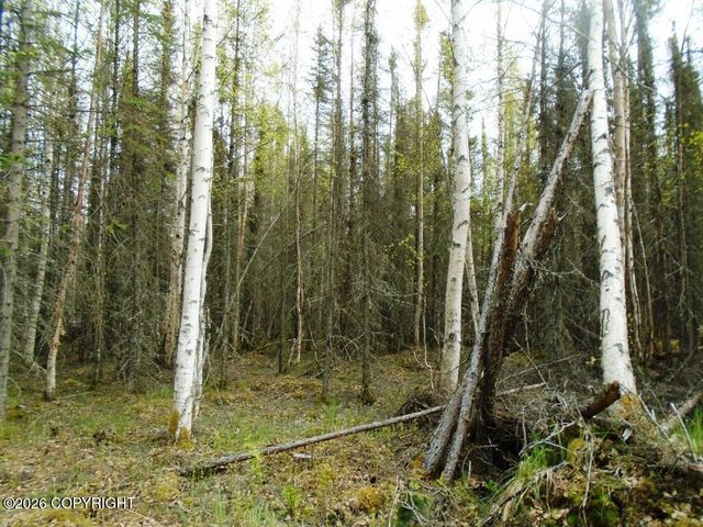 6661 S Lark Circle, Wasilla, AK 99623