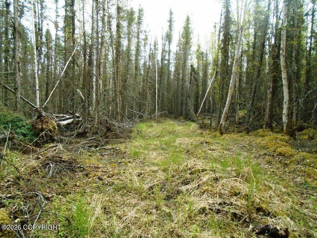 6661 S Lark Circle, Wasilla, AK 99623