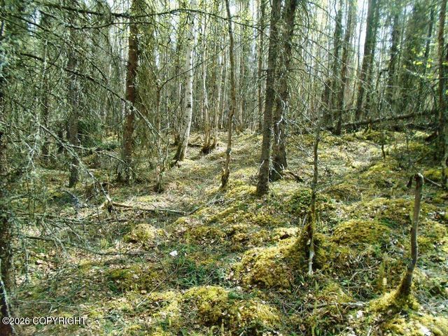 6661 S Lark Circle, Wasilla, AK 99623