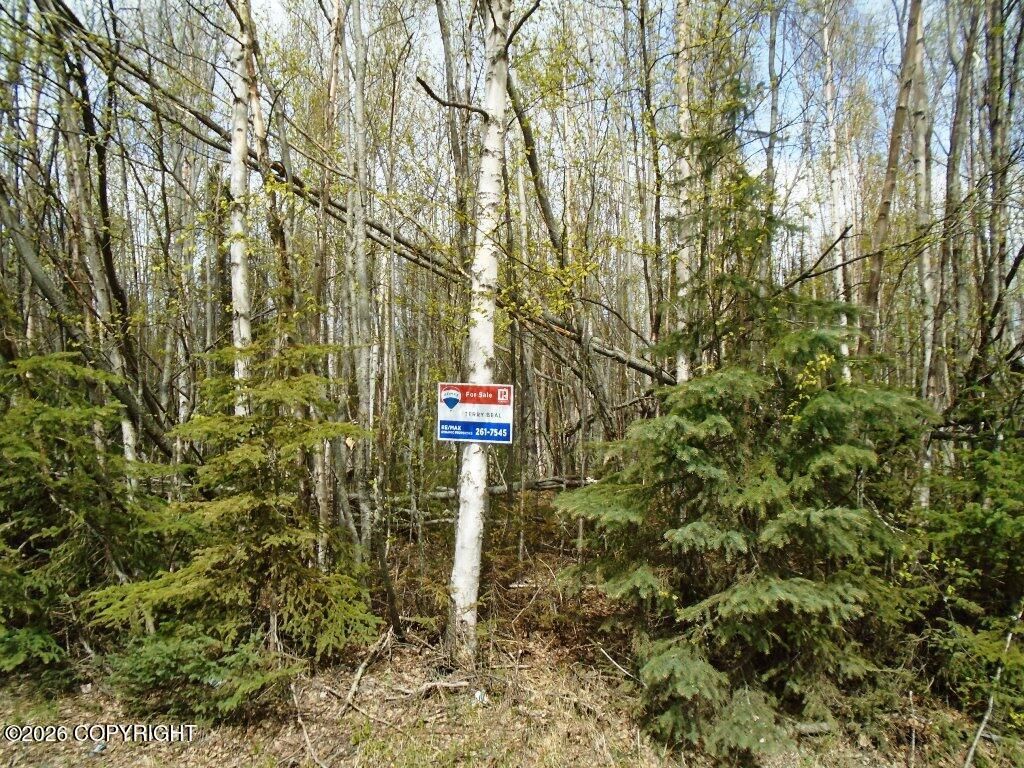 6661 S Lark Circle, Wasilla, AK 99623