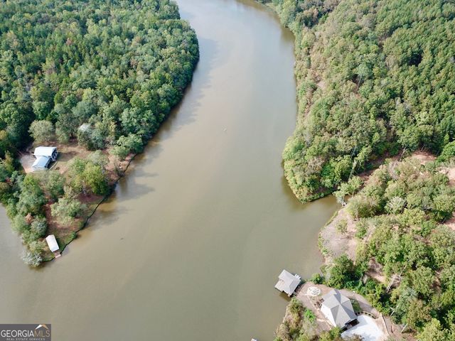 17 N Waterview Drive, Woodland, AL 36278