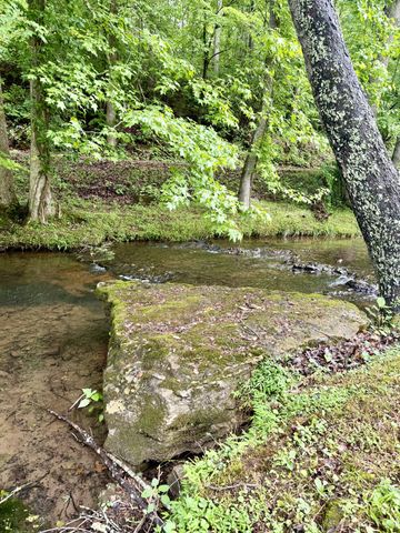 230 Raven Bluff Rd, Lawrenceburg, TN 38464