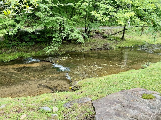 230 Raven Bluff Rd, Lawrenceburg, TN 38464