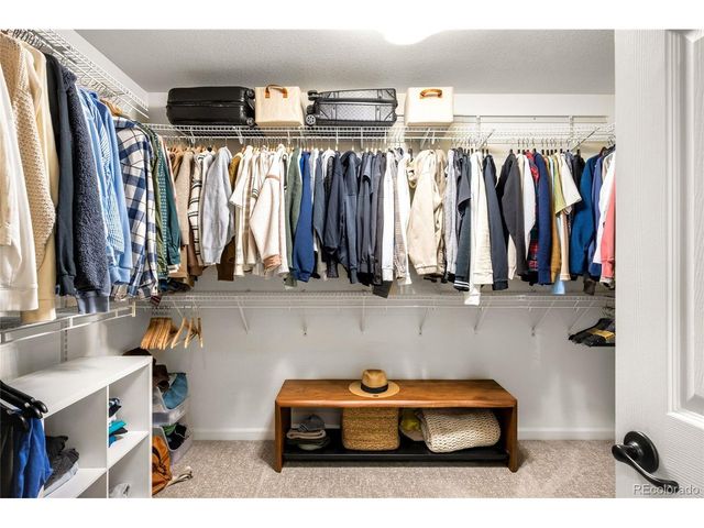 11662 S Maiden Hair Way, Parker, CO 80134