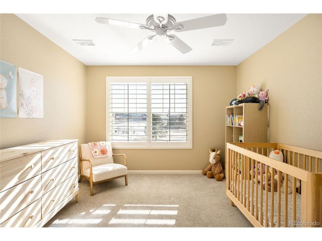 11662 S Maiden Hair Way, Parker, CO 80134