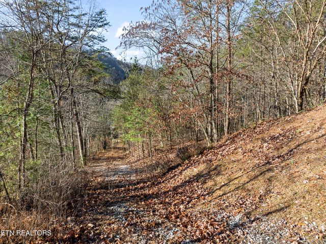3461 Lost Branch Rd, Sevierville, TN 37862