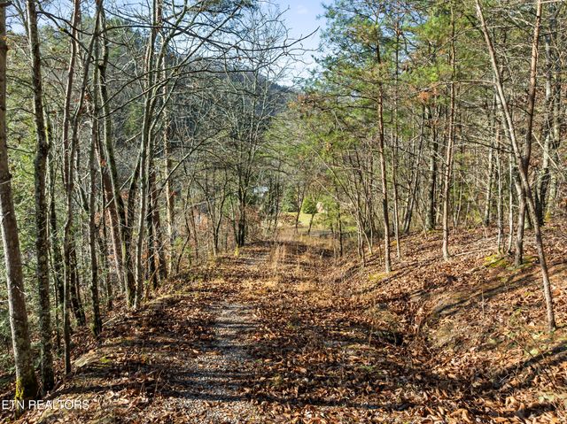 3461 Lost Branch Rd, Sevierville, TN 37862