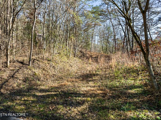 3461 Lost Branch Rd, Sevierville, TN 37862