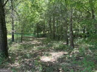 108 Sasser Road, Leesburg, GA 31763