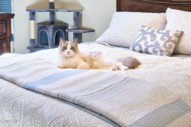 872 Fitzgerald Avenue, Ventura, CA 93003