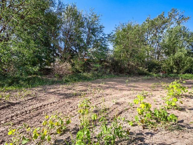 22660 Frontier Court, Frankfort, IL 60423