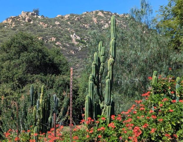 3333 Suncrest Boulevard, El Cajon, CA 92021