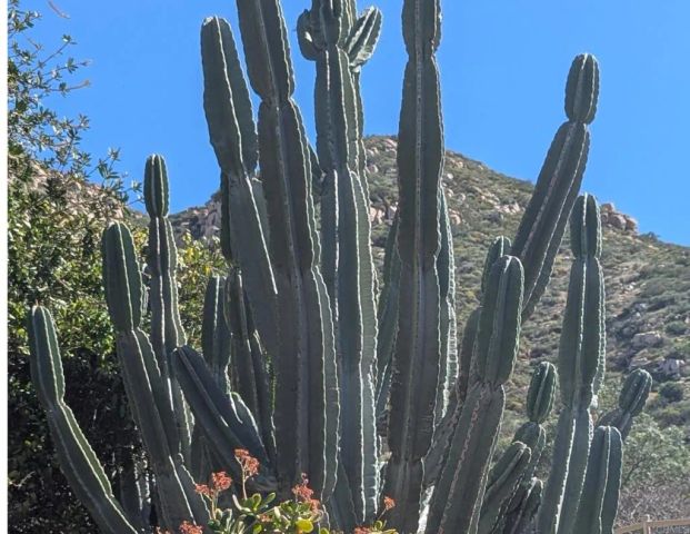 3333 Suncrest Boulevard, El Cajon, CA 92021