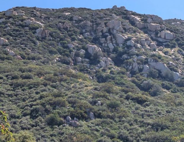 3333 Suncrest Boulevard, El Cajon, CA 92021