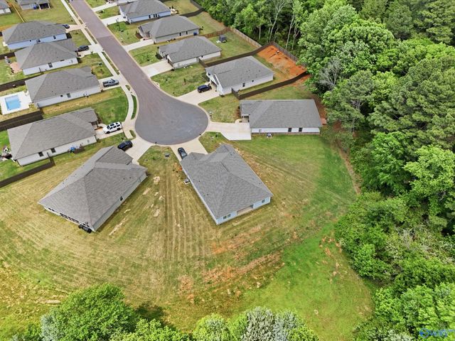 21651 Ginn Point Road, Athens, AL 35613