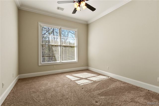 3510 Windy, Tuscaloosa, AL 35406