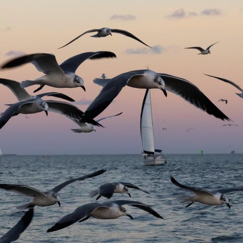 113 N Seaway Lane, League City, TX 77573