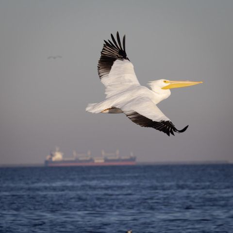 113 N Seaway Lane, League City, TX 77573