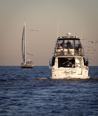 113 N Seaway Lane, League City, TX 77573