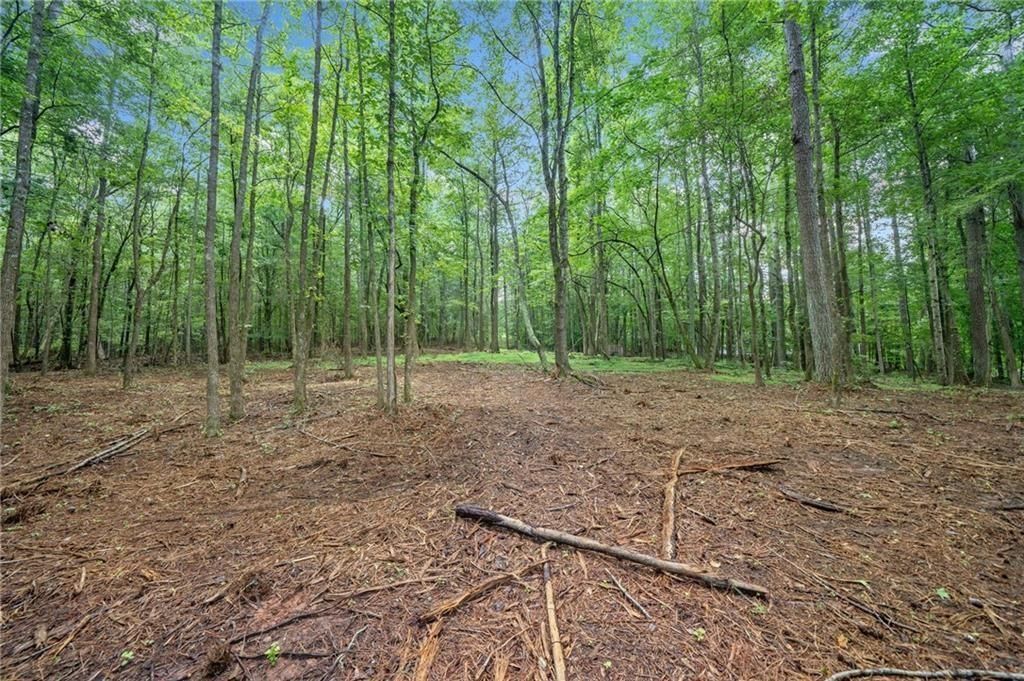 14880 Freemanville Road, Milton, GA 30004