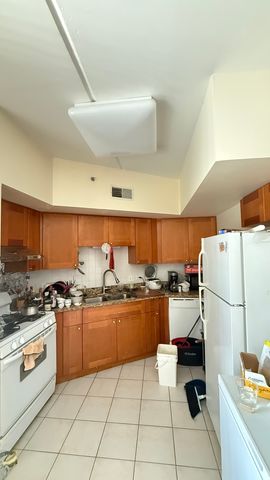 2322 S CANAL Street 309, Chicago, IL 60616