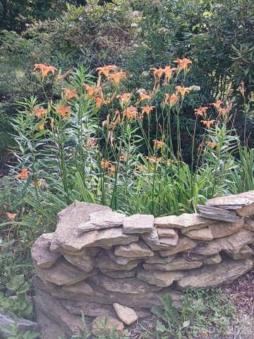 1694 Humpback Mountain Road, Spruce Pine, NC 28777