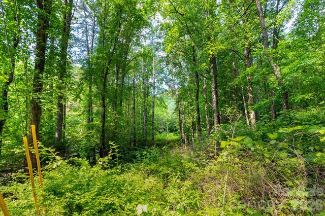 TBD Woodfin Road, Sylva, NC 28779