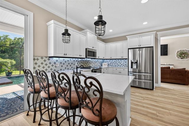 17308 HOWLING WOLF RUN, Parrish, FL 34219