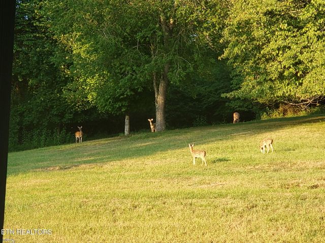 57 Lakeside Drive, Carthage, TN 37030