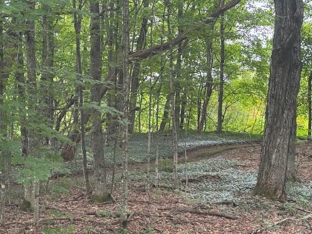 190 Upper Edsall Road, Greensboro, VT 05841