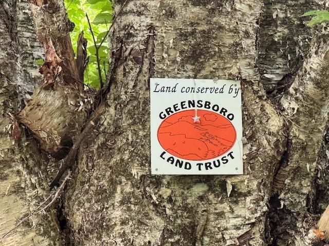 190 Upper Edsall Road, Greensboro, VT 05841