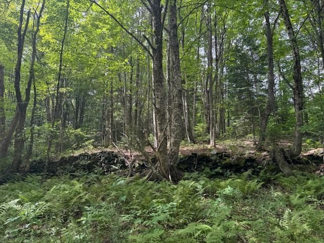 190 Upper Edsall Road, Greensboro, VT 05841