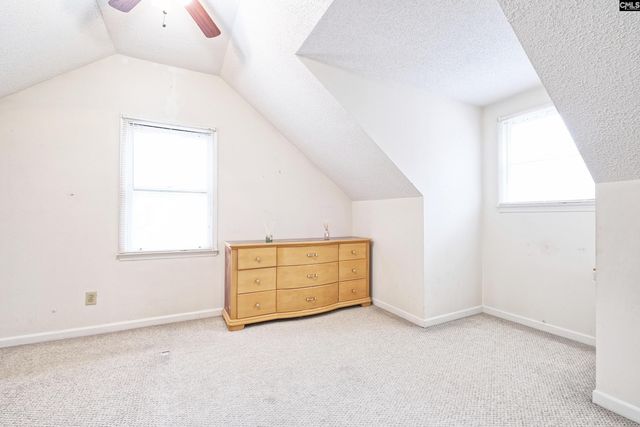 234 Dutch Drive, Irmo, SC 29063