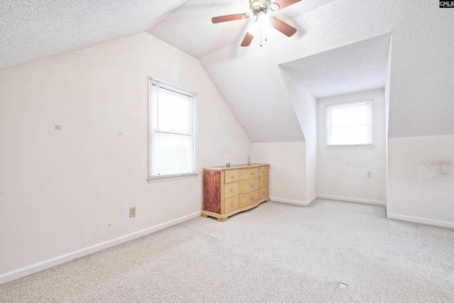 234 Dutch Drive, Irmo, SC 29063