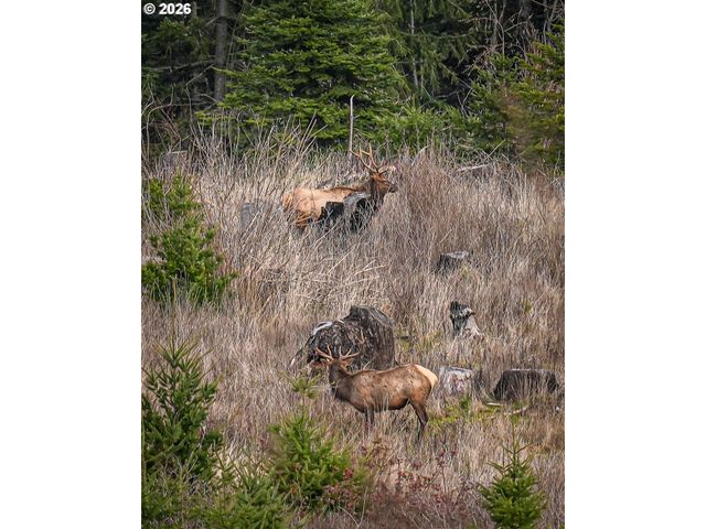 38252 S BLAIR Rd, Molalla, OR 97038