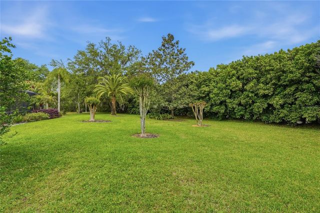 1297 KINGS WAY LANE, Tarpon Springs, FL 34688