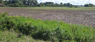 SPURR ROAD, New London, WI 54961