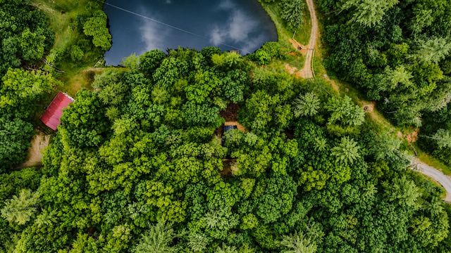 3 Mountain Lake Drive, Blue Ridge, GA 30513