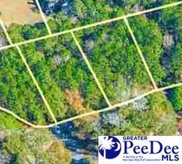 Lot 55 Country Club Road, Darlington, SC 29532
