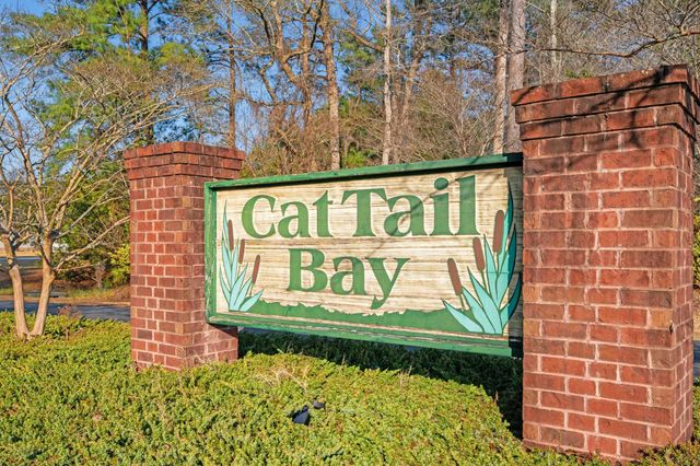 226 Cat Tail Bay Dr., Conway, SC 29527