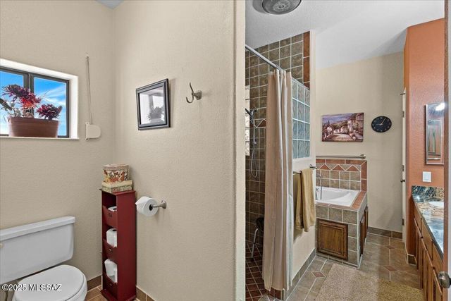 1969 W Three O'Clock Hill Road, Oracle, AZ 85623