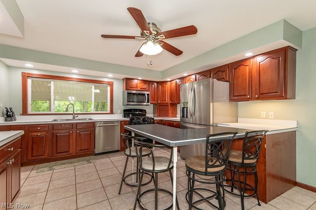 8831 Pine Tree Drive, Macedonia, OH 44056