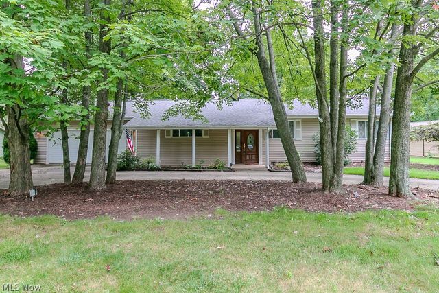 8831 Pine Tree Drive, Macedonia, OH 44056