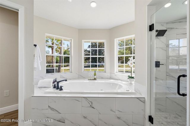 10185 Sleepy Willow Court, Spring Hill, FL 34608