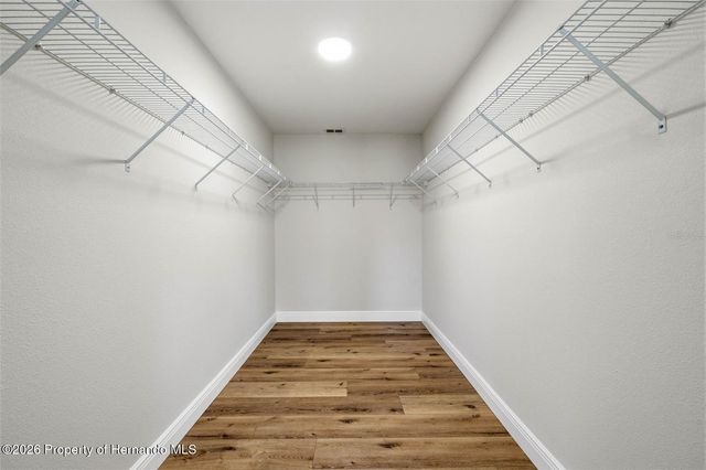 10185 Sleepy Willow Court, Spring Hill, FL 34608