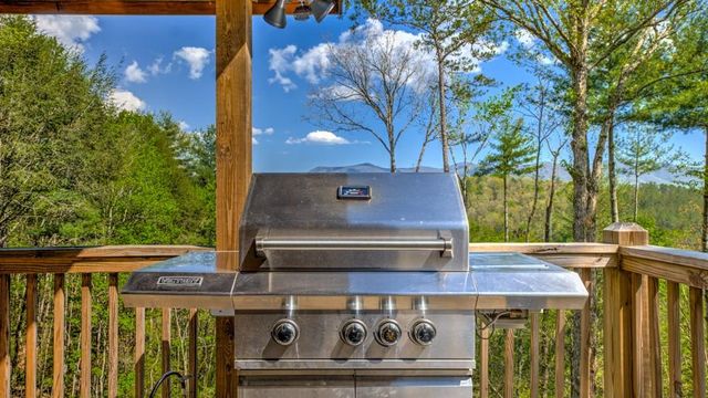 43 Dustin S Drive, Ellijay, GA 30540